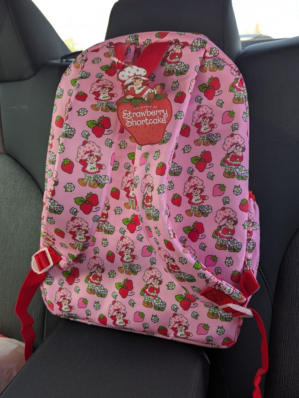 strawberry shortcake backpack